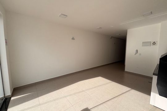 Terraço de apartamento para alugar com 2 quartos, 36m² em Vila Lucia, São Paulo