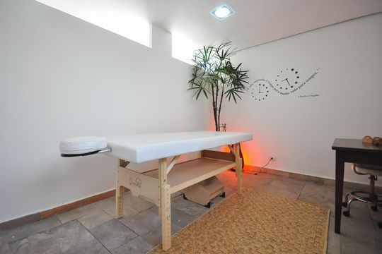 Área comum - Sala de Massagem de apartamento para alugar com 3 quartos, 222m² em Jardim Ampliacao, São Paulo