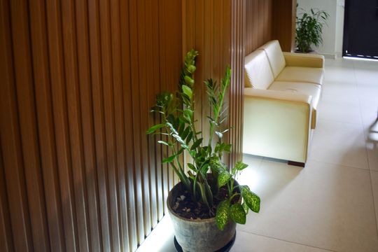 Área comum de kitnet/studio para alugar com 1 quarto, 36m² em Vila Zilda, São Paulo