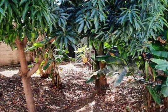 Casa à venda com 4 quartos, 230m² em Jardim Primavera, Campinas