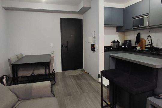 Sala de apartamento para alugar com 2 quartos, 41m² em Americanópolis, São Paulo