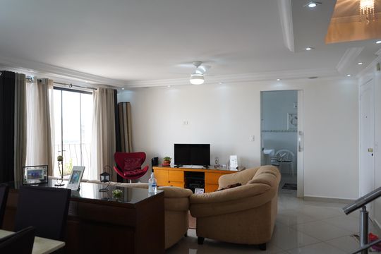 Sala de apartamento para alugar com 5 quartos, 214m² em Brás, São Paulo