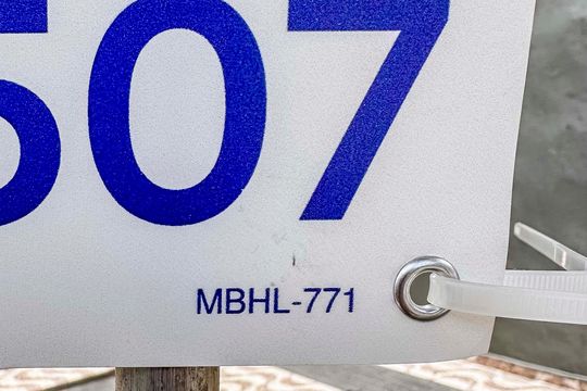 Placa Instalada na Fachada  de casa à venda com 4 quartos, 380m² em Vila Luzita, Santo André