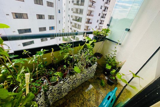 Varanda da Sala de apartamento para alugar com 3 quartos, 67m² em Vila Rosalia, Guarulhos