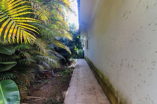 Quintal de casa à venda com 4 quartos, 1500m² em Butantã, São Paulo