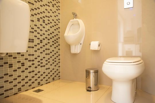 Banheiro do Espaço Gourmet de casa para alugar com 3 quartos, 237m² em Mirandópolis, São Paulo