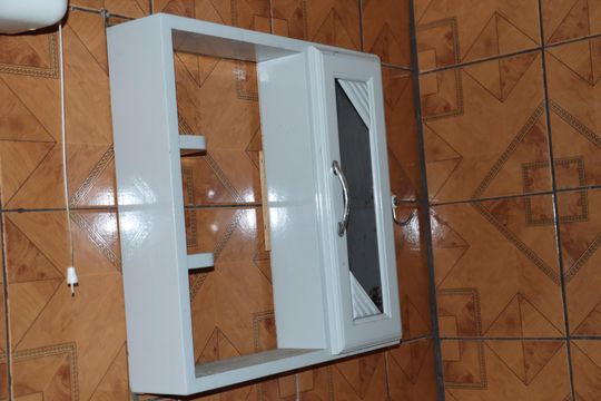 Banheiro Social de casa para alugar com 1 quarto, 60m² em Jardim Vista Alegre, Embu das Artes