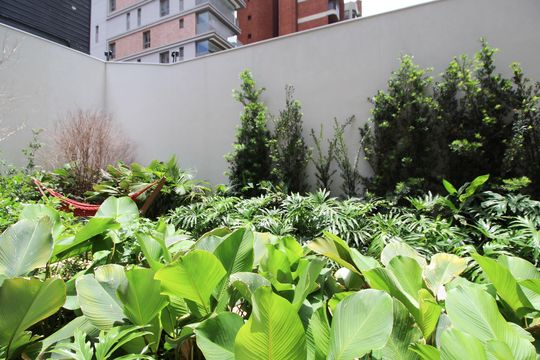 Vista de kitnet/studio para alugar com 1 quarto, 22m² em Moema, São Paulo