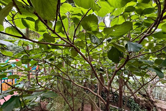 Vista  de apartamento para alugar com 3 quartos, 180m² em Campo Belo, São Paulo