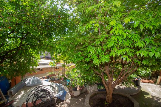 Quintal de casa para alugar com 3 quartos, 360m² em Fonte Grande, Contagem