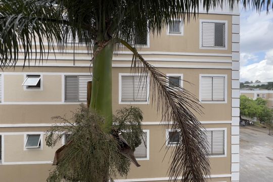 Vista do Quarto 1 de apartamento para alugar com 2 quartos, 47m² em Água Chata, Guarulhos