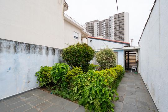 Quintal de casa à venda com 3 quartos, 250m² em Vila da Saúde, São Paulo