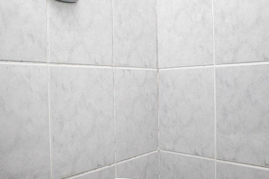 Banheiro 1 Lavabo de casa à venda com 3 quartos, 250m² em Menino Deus, Porto Alegre