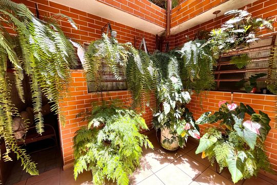 Quintal de casa à venda com 2 quartos, 120m² em Casa Verde Alta, São Paulo