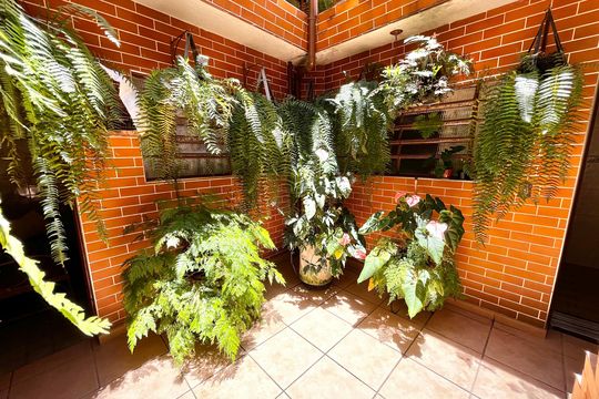 Quintal de casa à venda com 2 quartos, 120m² em Casa Verde Alta, São Paulo