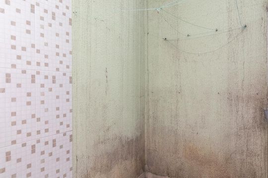 Área de Serviço de casa de condomínio para alugar com 3 quartos, 86m² em Vila Guilhermina, São Paulo