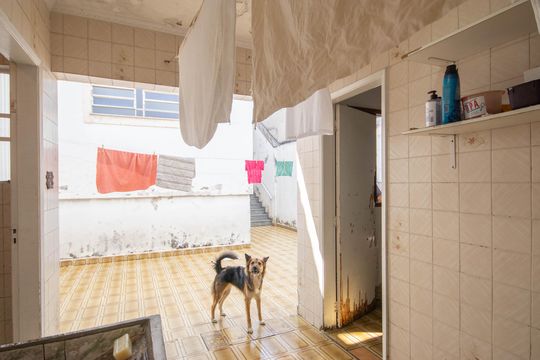Área de Serviço de casa à venda com 4 quartos, 165m² em Vila Gustavo, São Paulo