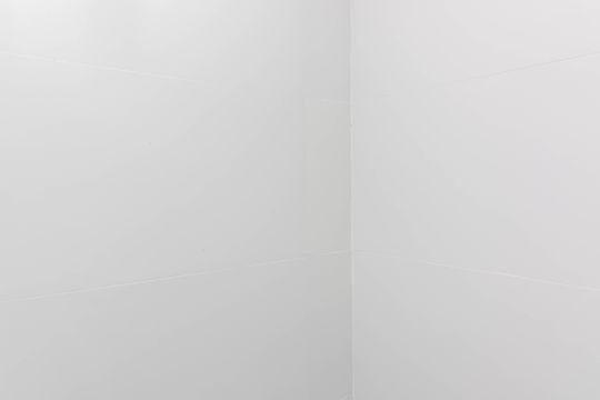 Banheiro de apartamento para alugar com 2 quartos, 40m² em Parada Inglesa, São Paulo