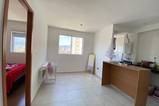 Sala de apartamento à venda com 2 quartos, 42m² em Del Castilho, Rio de Janeiro