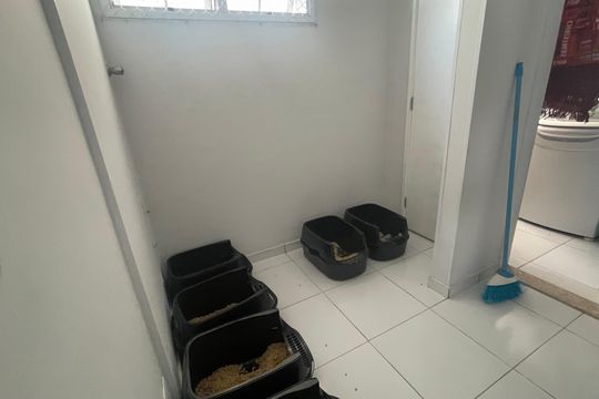 Apartamento para alugar com 2 quartos, 78m² em Santa Cecilia, São Paulo