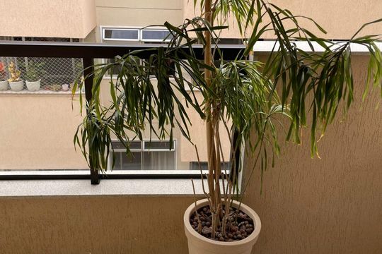 Varanda de apartamento à venda com 3 quartos, 215m² em Freguesia (Jacarepaguá), Rio de Janeiro