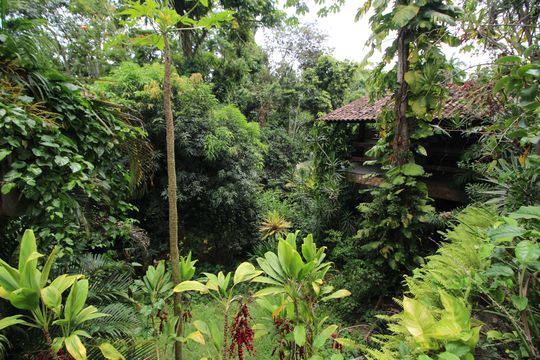 Churrasqueira - Vista de casa de condomínio à venda com 4 quartos, 350m² em Jacarepaguá, Rio de Janeiro