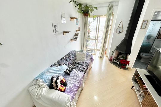 Sala de apartamento à venda com 2 quartos, 50m² em Parque Mandaqui, São Paulo