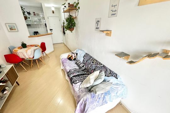 Sala de apartamento à venda com 2 quartos, 50m² em Parque Mandaqui, São Paulo