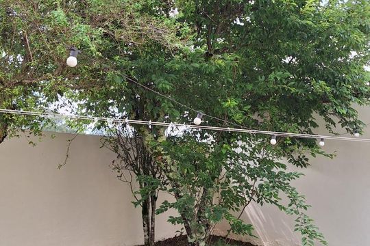 Casa para alugar com 3 quartos, 200m² em Rio Cotia, Cotia