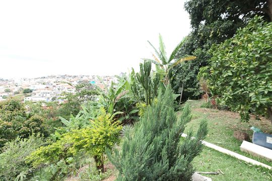 Casa à venda com 5 quartos, 450m² em Diamante, Belo Horizonte
