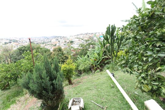 Casa à venda com 5 quartos, 450m² em Diamante, Belo Horizonte