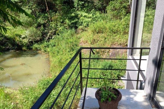 Casa de Condomínio para alugar com 5 quartos, 590m² em Campeche Central, Florianópolis