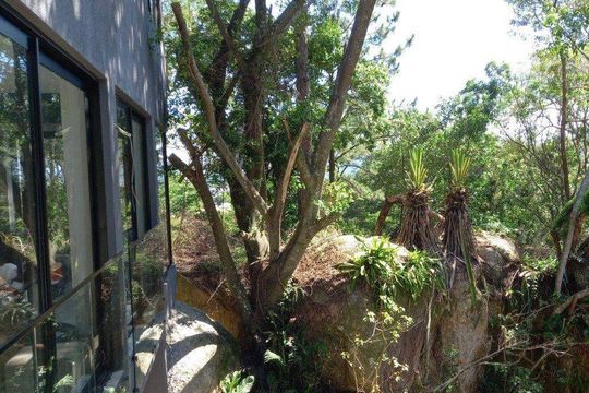 Casa de Condomínio para alugar com 5 quartos, 590m² em Campeche Central, Florianópolis