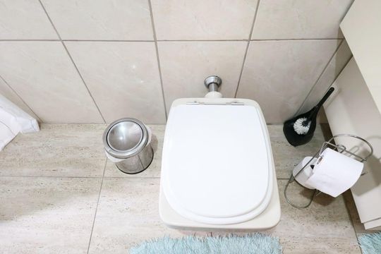 Banheiro da Suíte de casa para alugar com 4 quartos, 260m² em Vila Rosalia, Guarulhos