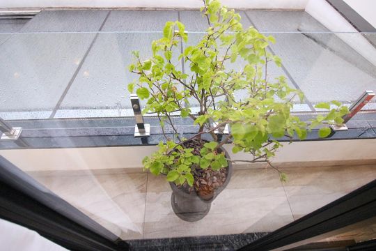 Casa de Condomínio à venda com 3 quartos, 120m² em Vila Lucia, São Paulo