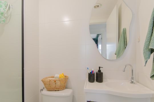 Banheiro de apartamento para alugar com 2 quartos, 35m² em Cambuci, São Paulo