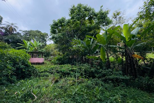 Casa à venda com 3 quartos, 10300m² em Jardim Petropolis, Nova Lima