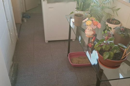 Apartamento à venda com 3 quartos, 113m² em Mooca, São Paulo