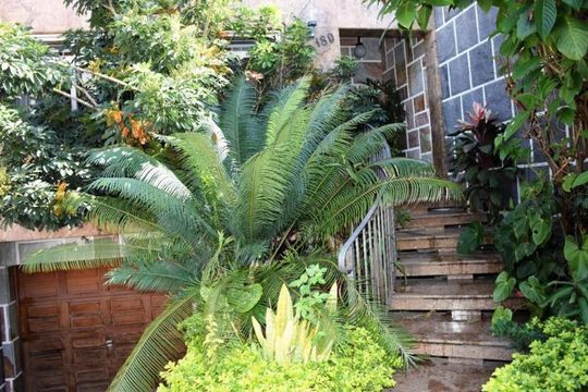 Casa para alugar com 3 quartos, 330m² em Jardim Analia Franco, São Paulo