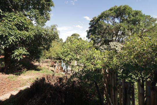 Quintal de casa à venda com 2 quartos, 5000m² em Parque Residencial Jundiaí, Jundiaí