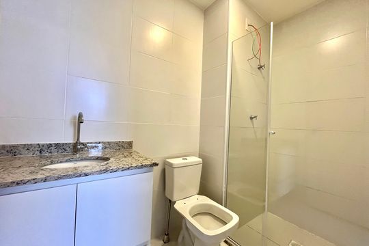 Banheiro da Suíte de apartamento para alugar com 2 quartos, 42m² em Vila Guarani (zona Sul), São Paulo