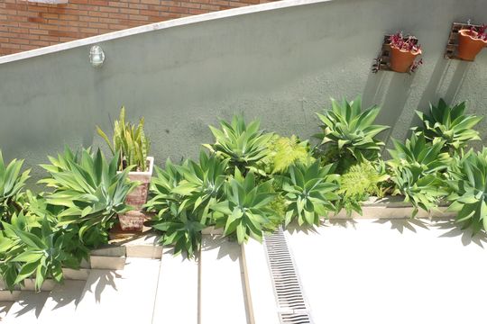 Casa de Condomínio para alugar com 5 quartos, 360m² em São Paulo Ii, Cotia