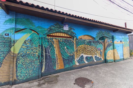 Fachada de casa à venda com 5 quartos, 450m² em Itaquera, São Paulo