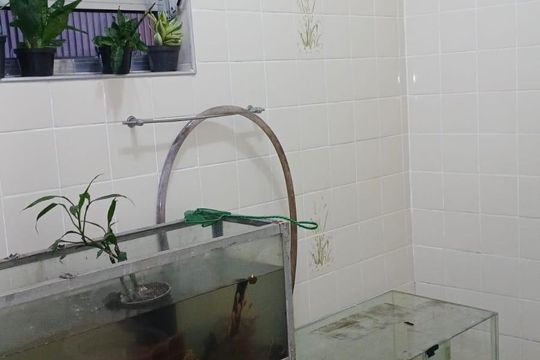 Banheiro de casa à venda com 3 quartos, 180m² em Ipiranga, São Paulo