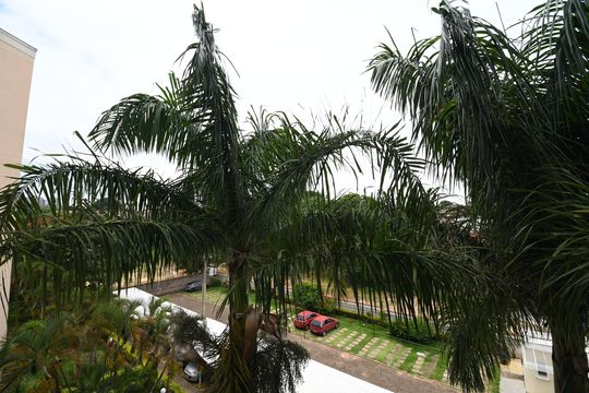 Sala - Vista de apartamento para alugar com 2 quartos, 60m² em Vila Nova Teixeira, Campinas