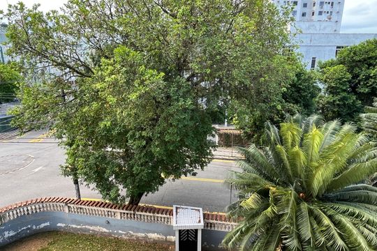 Vista da Sala de apartamento para alugar com 3 quartos, 75m² em Aparecida, Santos