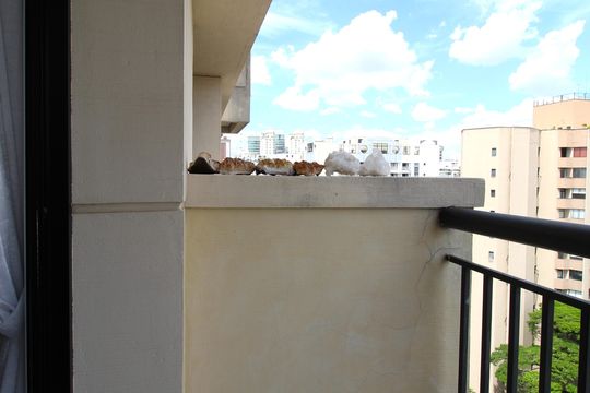 Varanda de apartamento para alugar com 1 quarto, 40m² em Indianópolis, São Paulo