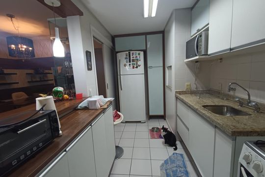 Cozinha  de apartamento para alugar com 2 quartos, 58m² em Glória, Porto Alegre