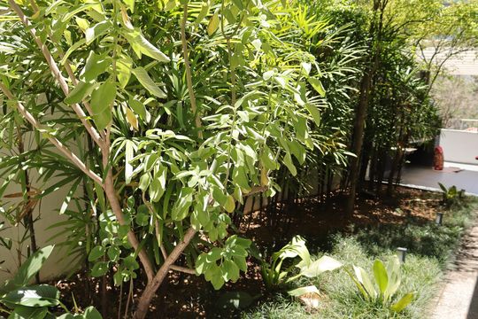 Jardim de apartamento à venda com 1 quarto, 39m² em Consolação, São Paulo