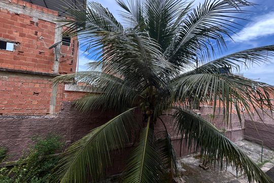 Vista do Quarto 2 de apartamento para alugar com 2 quartos, 50m² em Engenho da Rainha, Rio de Janeiro